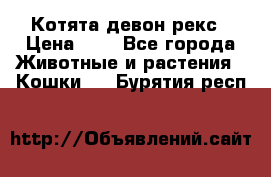 Котята девон рекс › Цена ­ 1 - Все города Животные и растения » Кошки   . Бурятия респ.